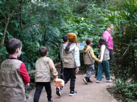 WhatsApp Image 2026 02 04 at 18.02.15