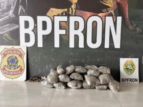 WhatsApp Image 2026 02 08 at 12.25.50