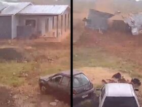 WhatsApp Image 2026 02 09 at 19.19.06