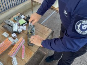 WhatsApp Image 2026 02 10 at 17.36.06