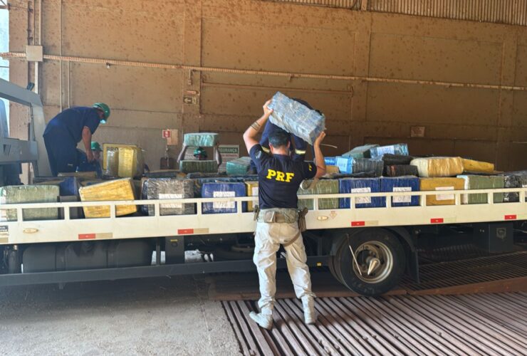 WhatsApp Image 2026 02 10 at 20.20.21