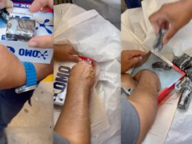 WhatsApp Image 2026 02 11 at 17.09.37