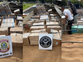 WhatsApp Image 2026 02 12 at 07.44.48