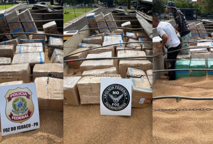 WhatsApp Image 2026 02 12 at 07.44.48