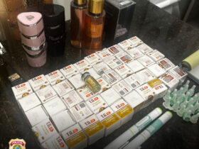 WhatsApp Image 2026 02 12 at 11.05.50