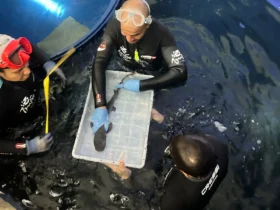 WhatsApp Image 2026 02 12 at 15.15.35.jpeg