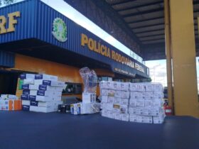 WhatsApp Image 2026 02 12 at 19.21.06