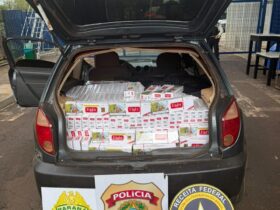 WhatsApp Image 2026 02 13 at 14.44.55