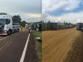 WhatsApp Image 2026 02 18 at 21.59.22