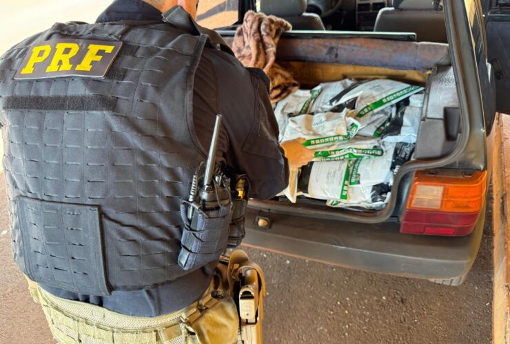 WhatsApp Image 2026 02 19 at 11.17.02