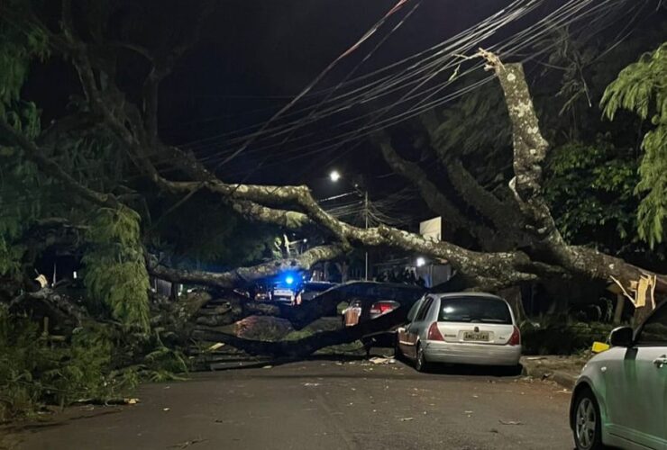 WhatsApp Image 2026 02 20 at 07.32.03