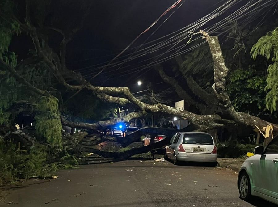 WhatsApp Image 2026 02 20 at 07.32.03