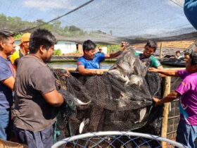 f317ee68 a642 40a1 bb1d 754b67e14b84