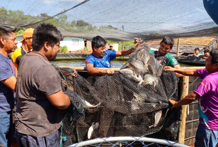 f317ee68 a642 40a1 bb1d 754b67e14b84