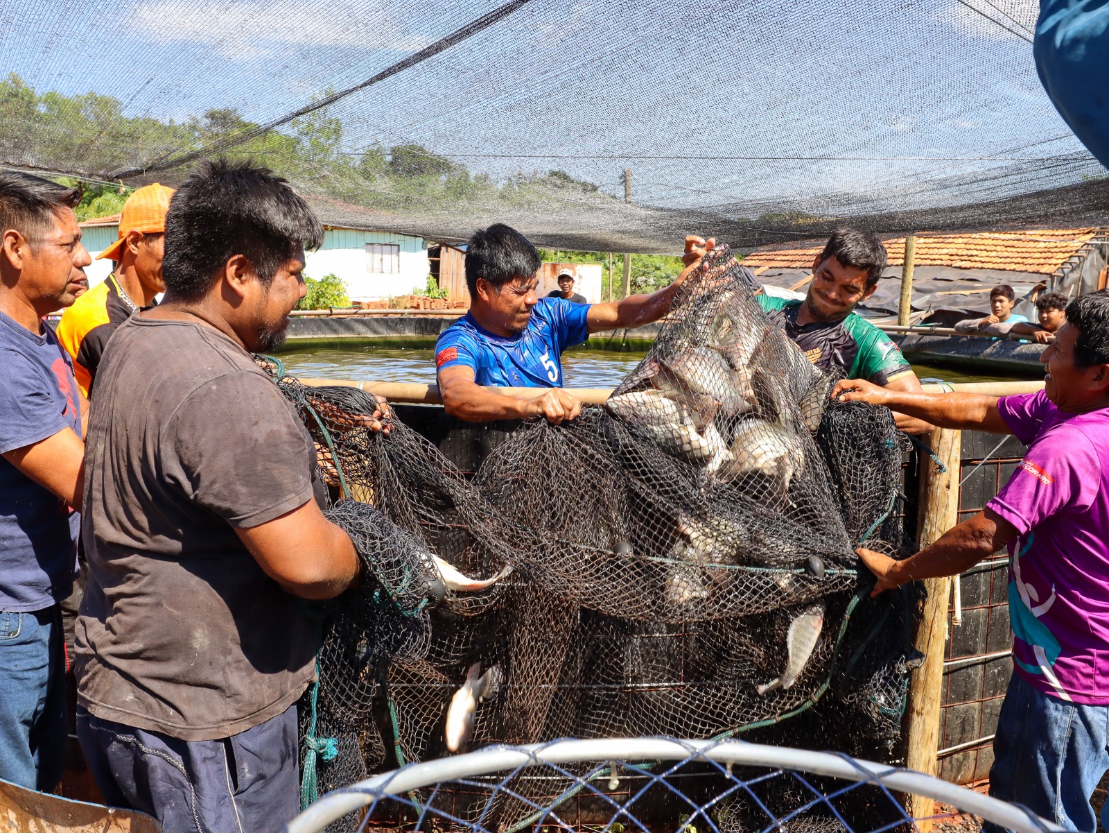 f317ee68 a642 40a1 bb1d 754b67e14b84