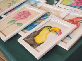 feira parque nacional