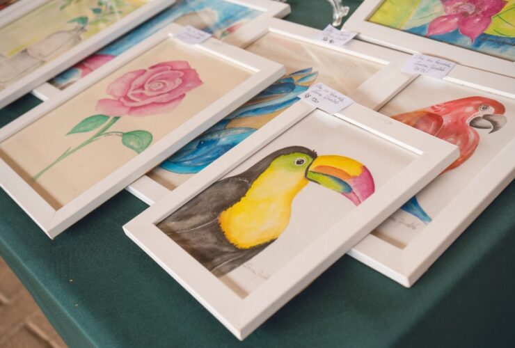 feira parque nacional