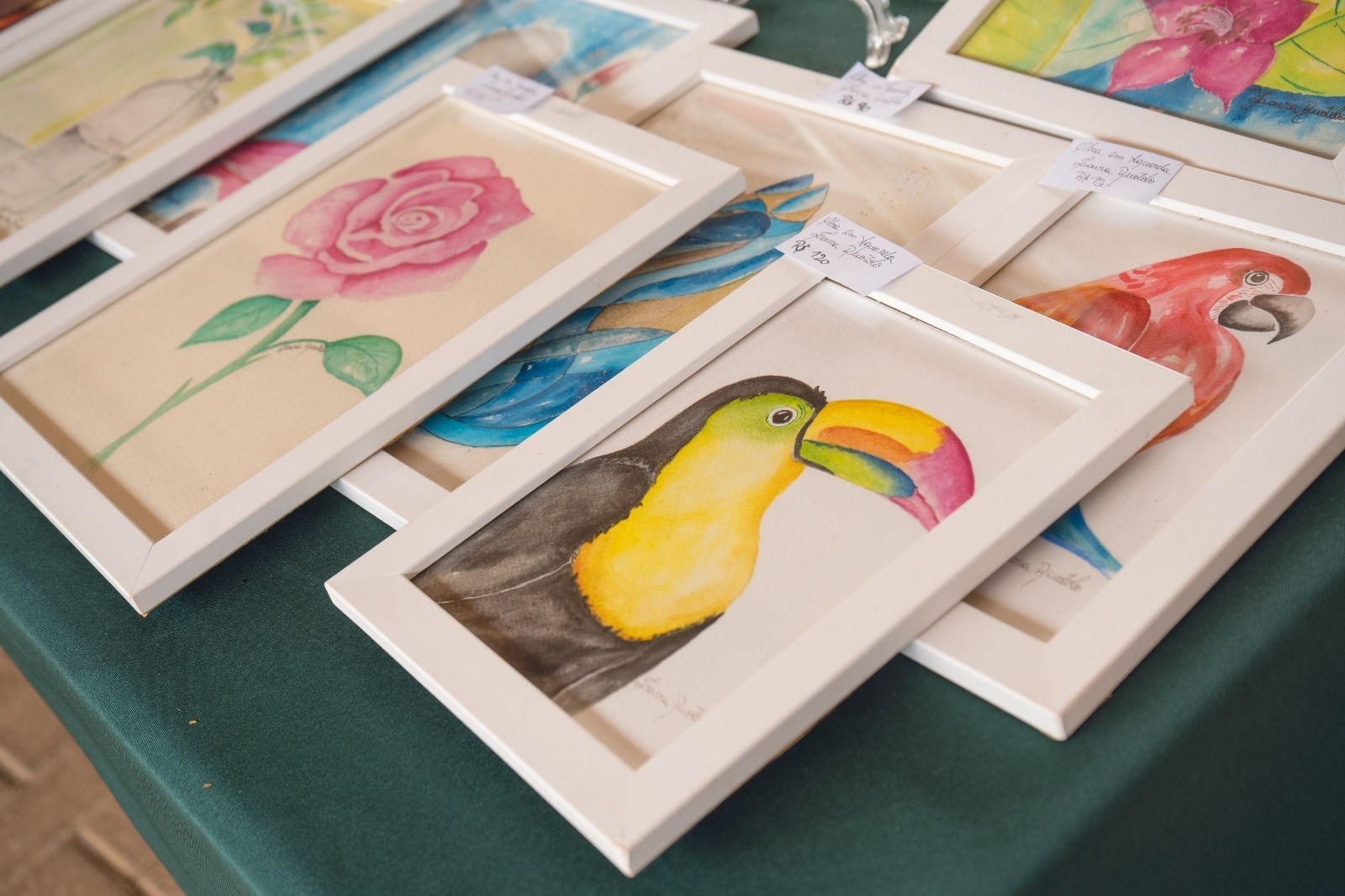 feira parque nacional