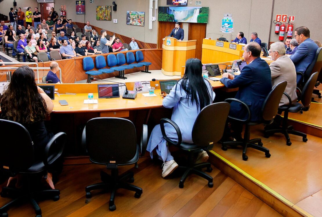plenario camara vereadores