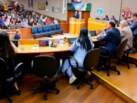 plenario camara vereadores