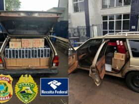 vinhos apreendidos 1