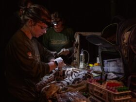 WhatsApp Image 2026 03 23 at 09.43.07