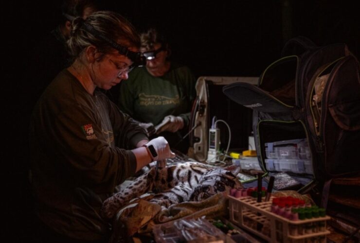 WhatsApp Image 2026 03 23 at 09.43.07