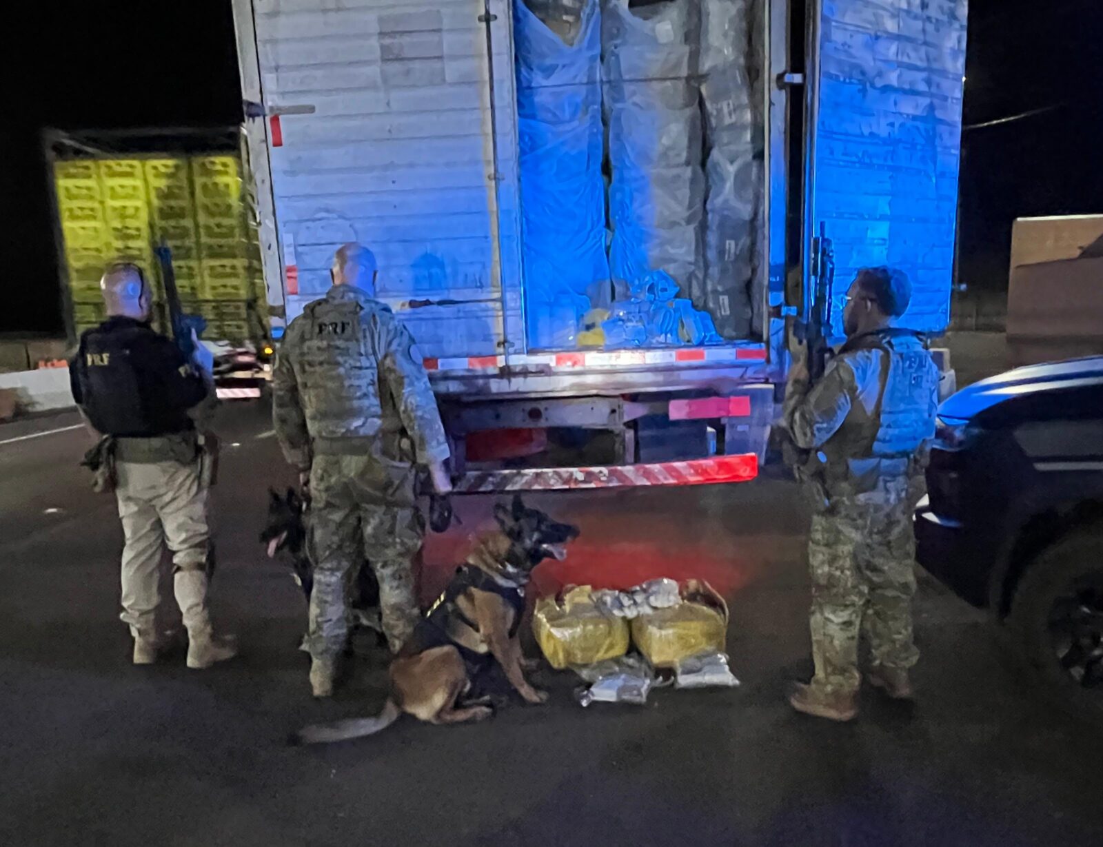 VÍDEO: Cães farejadores são decisivos em apreensão de mais de 80 kg de drogas no Oeste do Paraná 1 caes farejadores