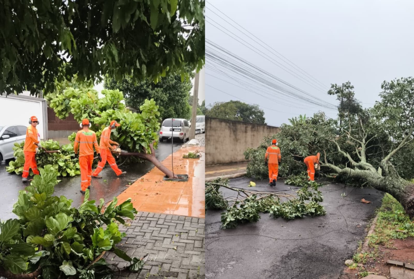 Chuva com vendaval derruba árvores, parte da rede elétrica e interdita trechos de ruas em Foz do Iguaçu 1 chuva foz