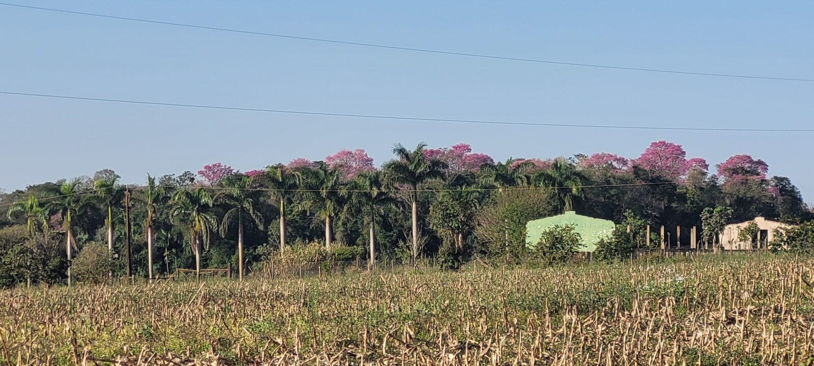 Funrural mais caro em 2026: Produtores Rurais Devem Agir com Estratégia Diante de Aumento Tributário 1 funrural