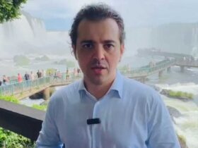 luiz fernando guerra