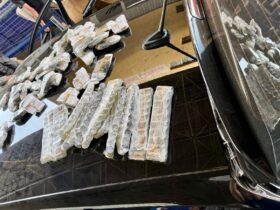 remedios emagrecedores