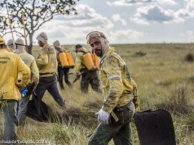 33760682914 fc5ae355f5 o