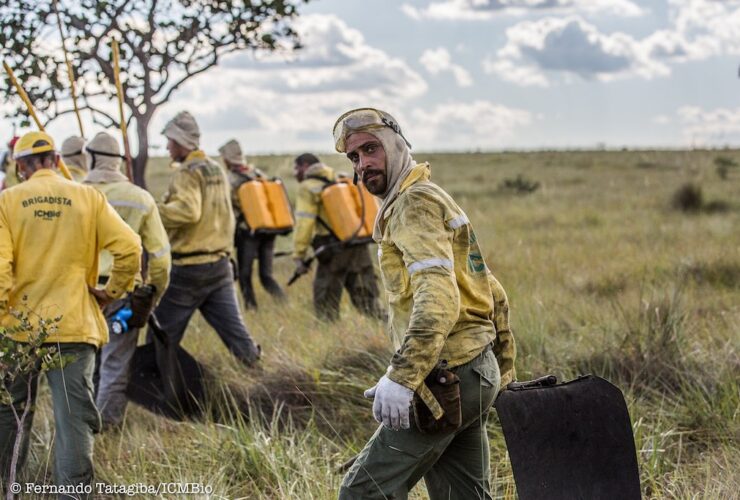 33760682914 fc5ae355f5 o