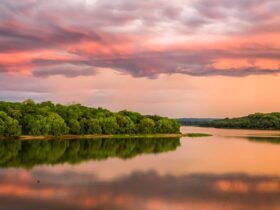 WhatsApp Image 2026 04 10 at 11.30.59