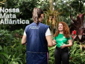 WhatsApp Image 2026 04 15 at 17.13.12