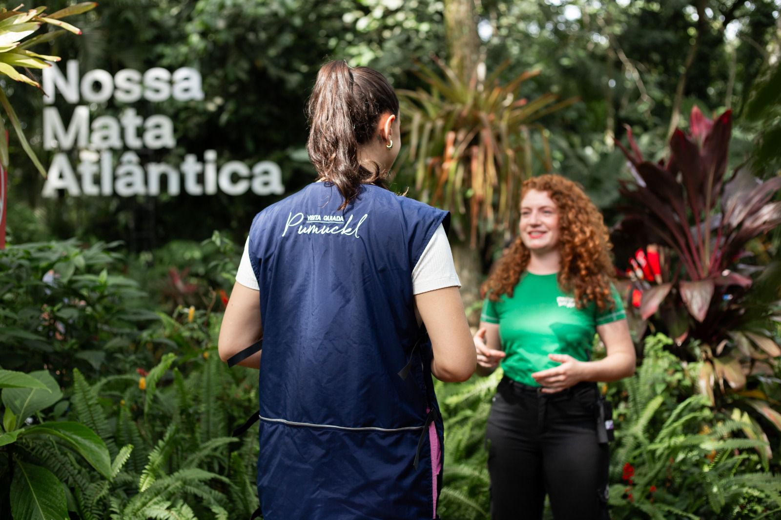 WhatsApp Image 2026 04 15 at 17.13.12