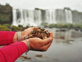 WhatsApp Image 2026 04 16 at 10.23.16