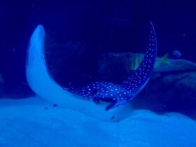 WhatsApp Image 2026 04 16 at 15.13.08