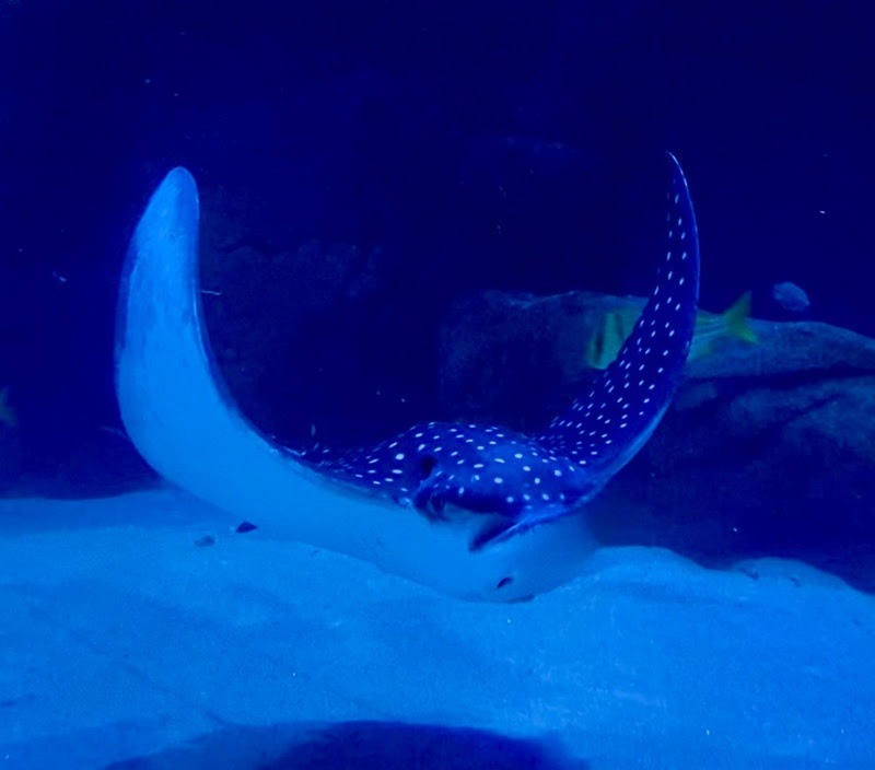 WhatsApp Image 2026 04 16 at 15.13.08