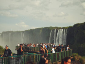 WhatsApp Image 2026 04 17 at 10.36.15