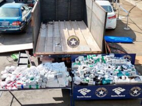 WhatsApp Image 2026 04 22 at 11.26.13