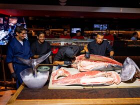 WhatsApp Image 2026 04 22 at 14.23.59