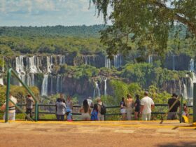 WhatsApp Image 2026 04 23 at 10.34.27