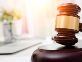 WhatsApp Image 2026 04 24 at 09.55.18 1