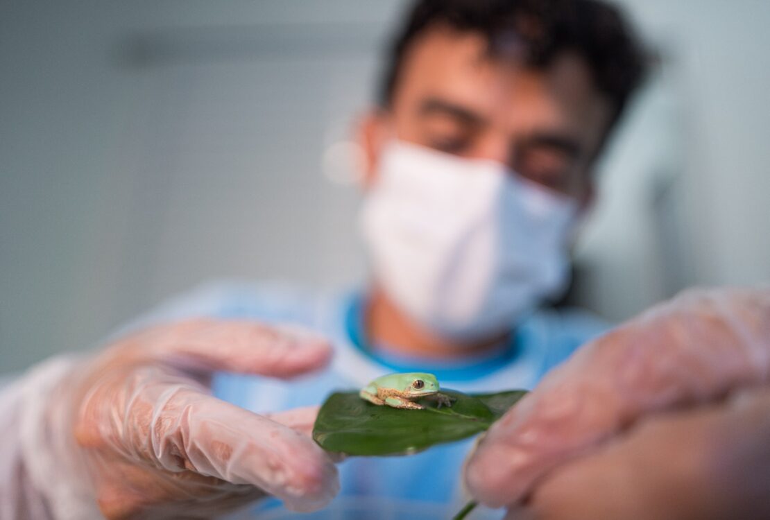 WhatsApp Image 2026 04 24 at 13.03.33