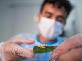 WhatsApp Image 2026 04 24 at 13.03.33