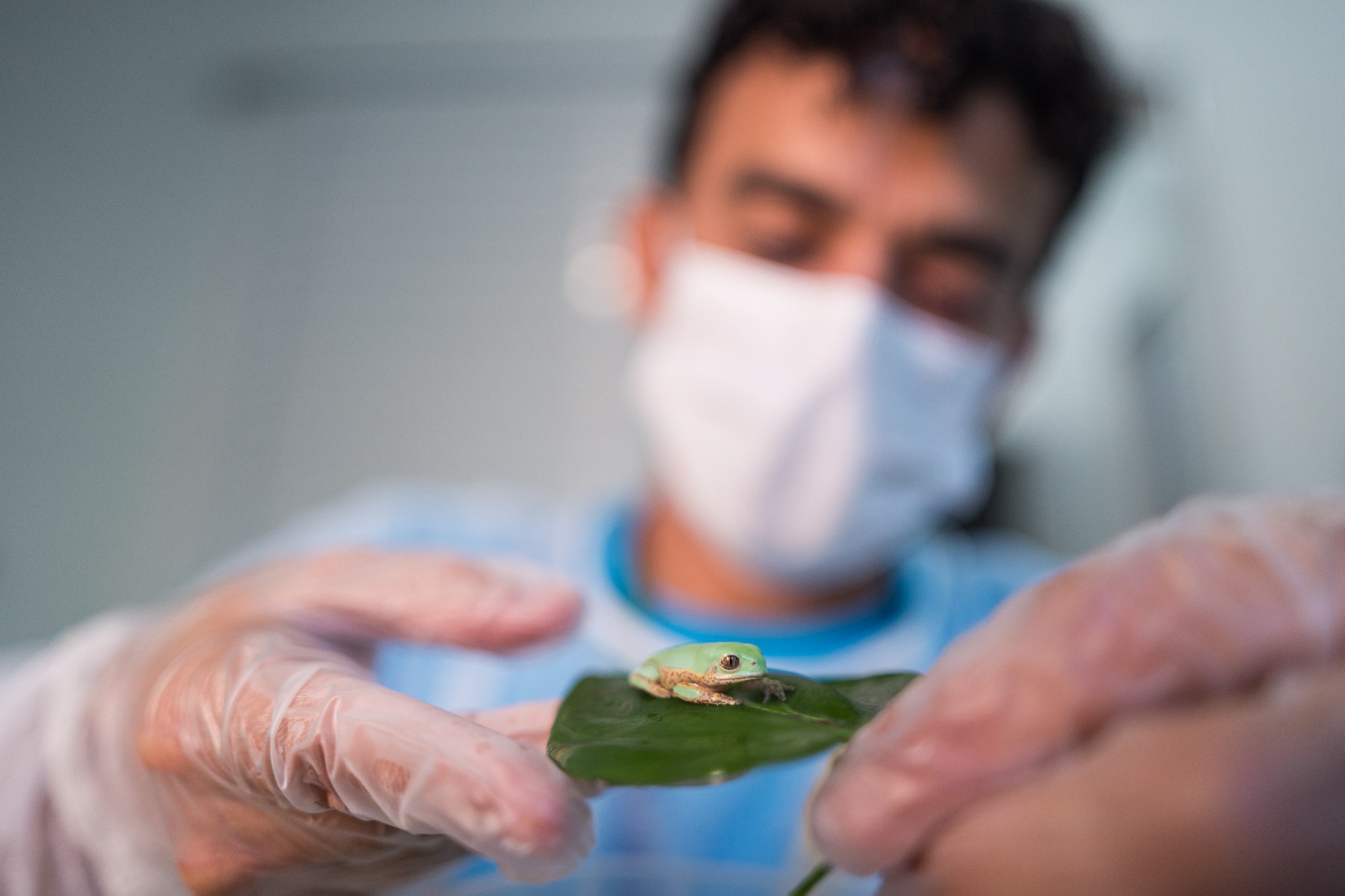 WhatsApp Image 2026 04 24 at 13.03.33