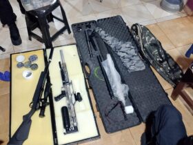 armas apreendidas