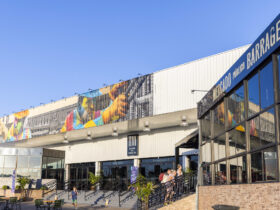 mercado barrageiro 1
